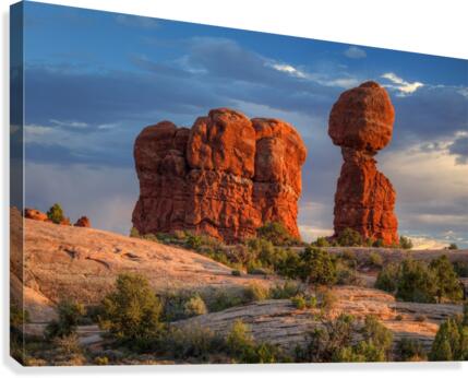 STANDING TALL Canvas Print