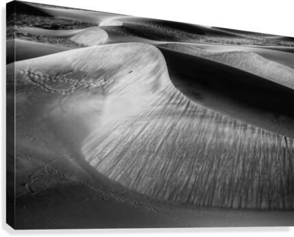 WIND SCULPTING Canvas Print
