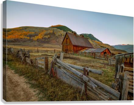 FALL HARVEST Canvas Print
