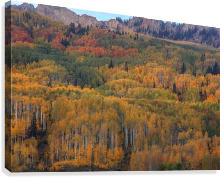 UNFORGETTABLE  Canvas Print