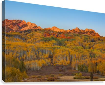 FALL INTO AUTUMN Canvas Print