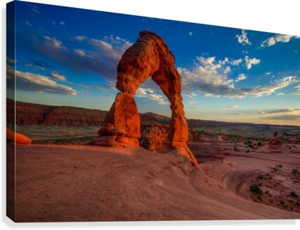 GRACE UNDER PRESSURE  Canvas Print