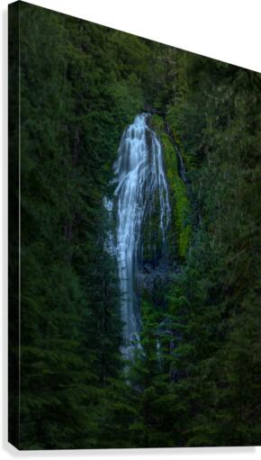 FOCUS ON PROXY FALLS Canvas Print