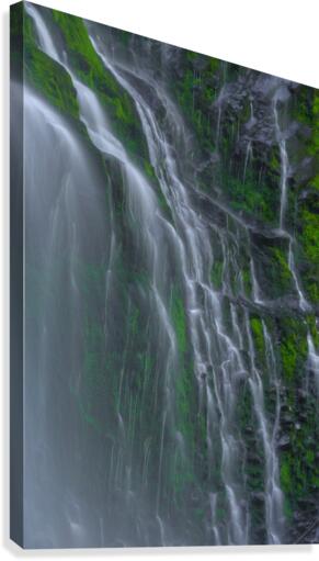 FLOWING GRACE Canvas Print