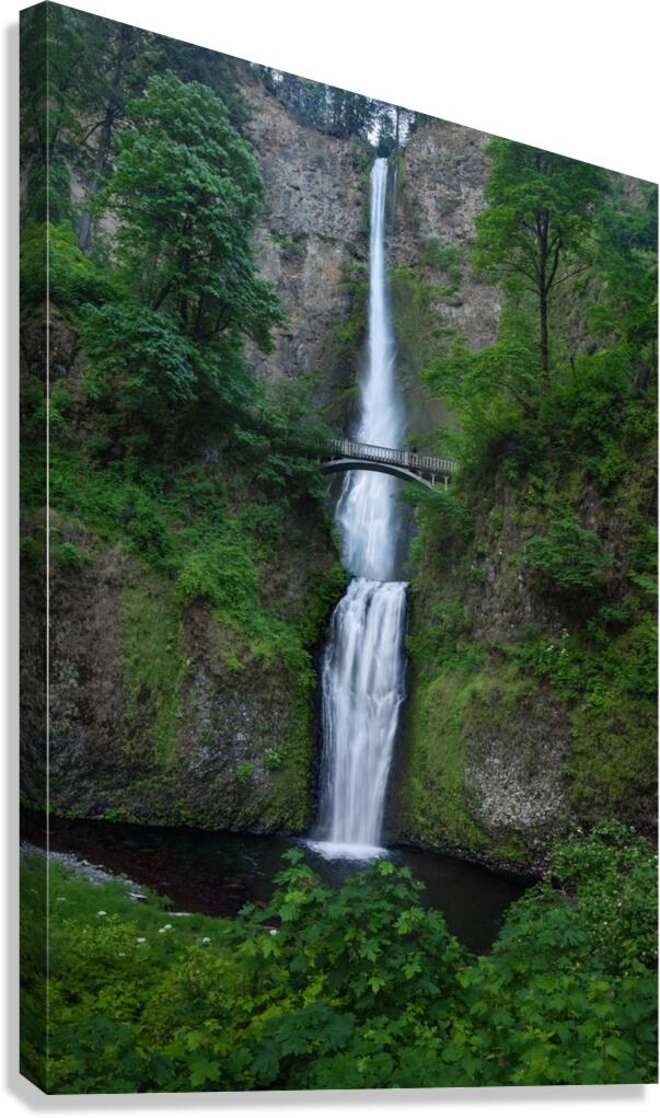 MULTNOMAH FALLS Canvas Print