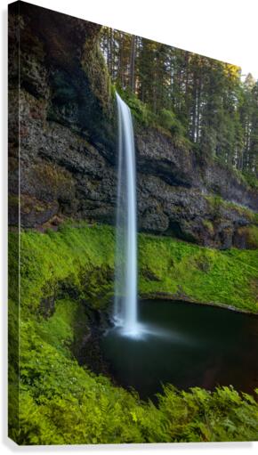 SILVER FALLS OREGON Canvas Print