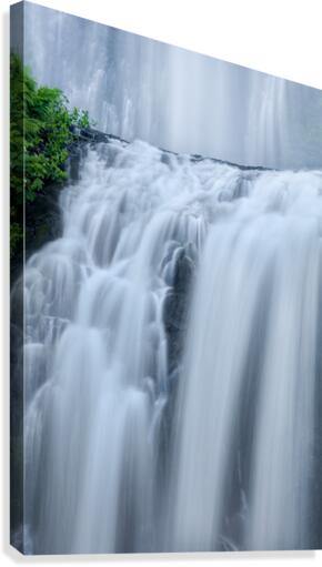 SHOWER CURTAINS Canvas Print