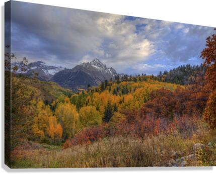 MOUNT SNEFFELS Canvas Print