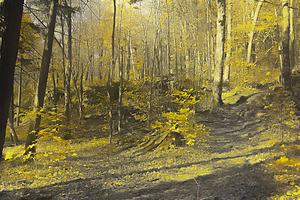 Mont Saint Gregoire en automne