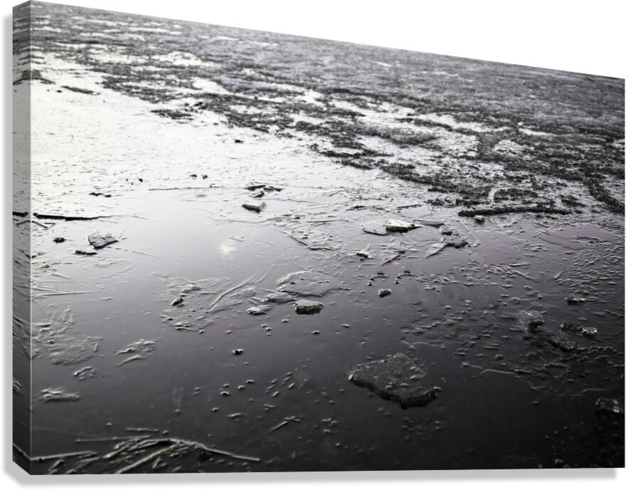 Texture Printaniere  Canvas Print