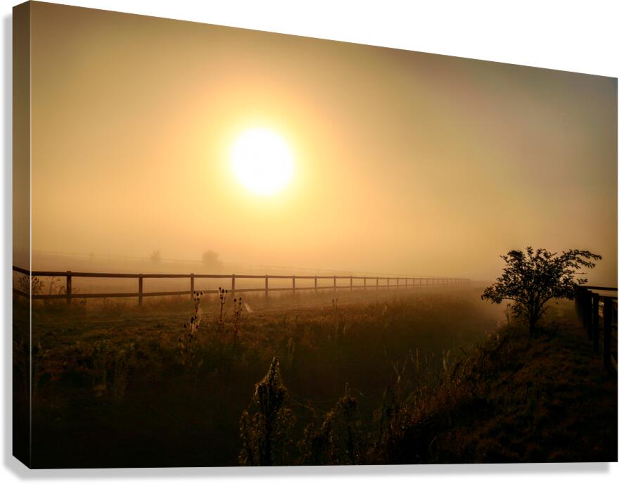 Juste Apres    Canvas Print