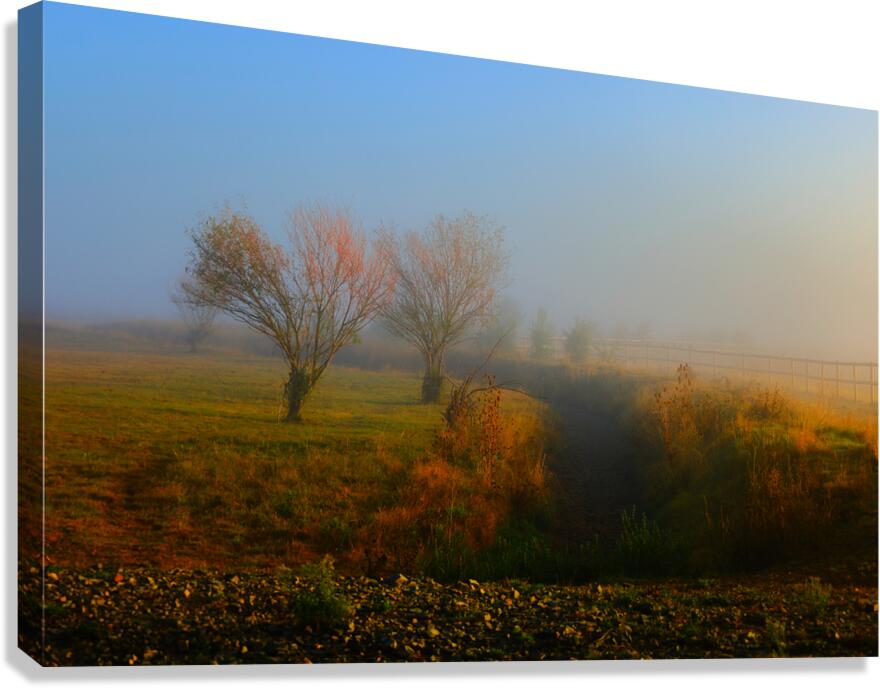 Fin de lEte   Canvas Print