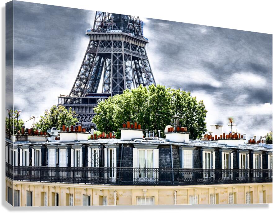 Grisonant   Canvas Print