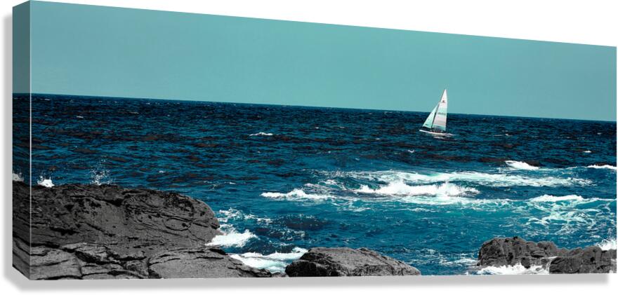 Partir a l Ouest Canvas Print
