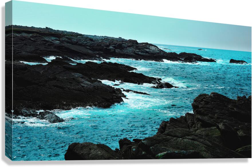 Elements Canvas Print