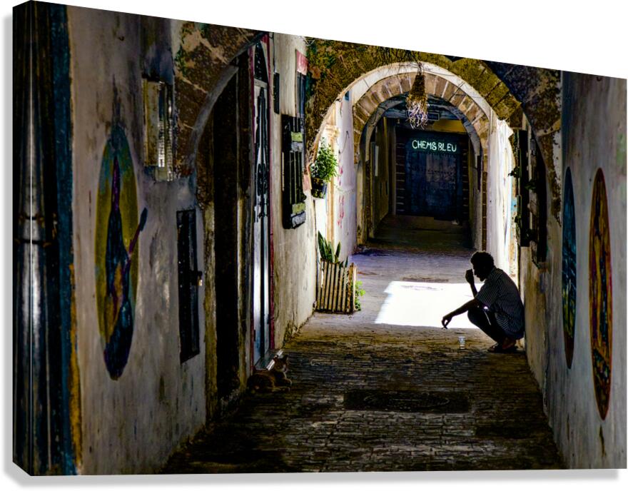 En pause   Canvas Print