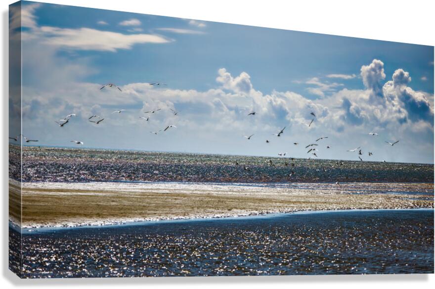 LEnvol Canvas Print