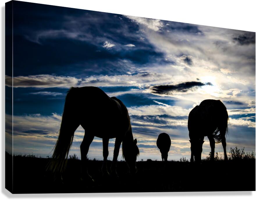 Le Poulin Canvas Print