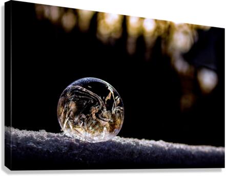 ICE BUBBLE Canvas Print