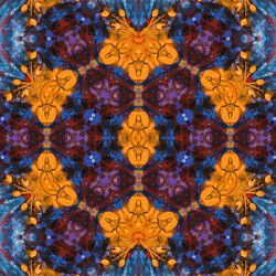 Untitled 33