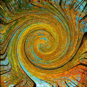 Abstract