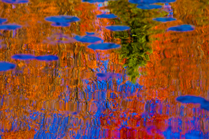 Abstract
