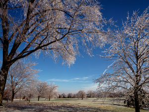 Icestorm
