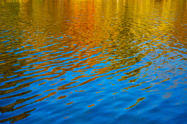 Abstract Print