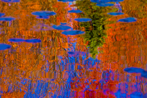 Abstract Print