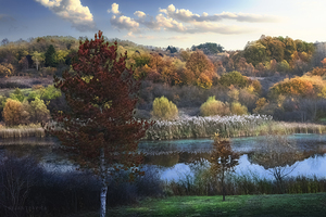 Autumn on a small lake
