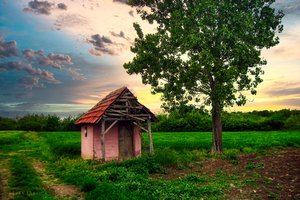 A hut in the field