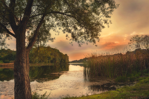 A secret place on the small lake