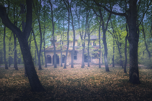 Abandoned old villa in the forest