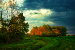 An old riverbed in the green field.