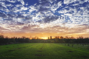Grrenfield under the cloudy sky at sunset
