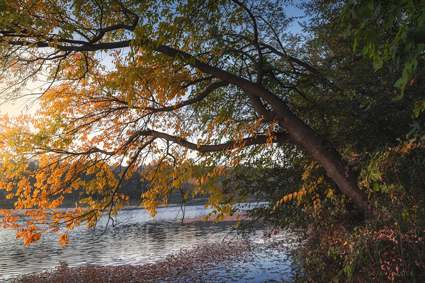 Here comes the autumn on the small lake Print