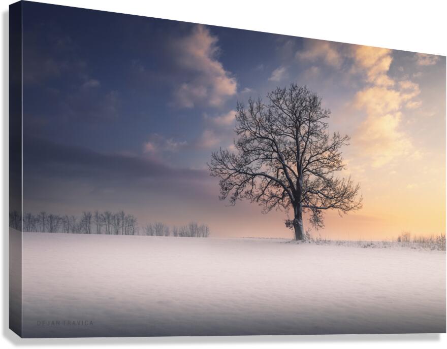 Winter idyll Canvas Print