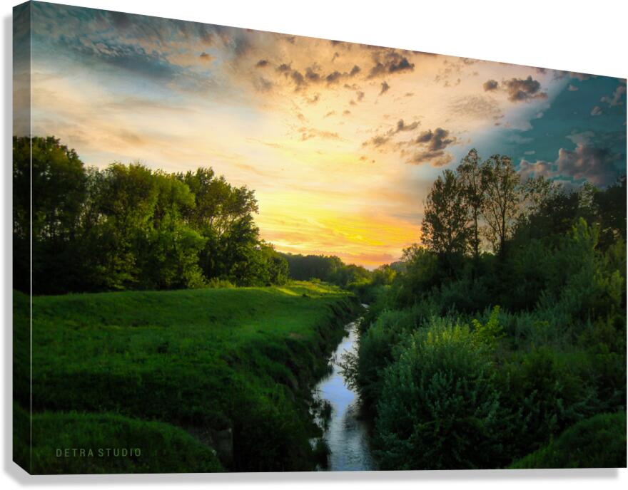 A small forest river Canvas Print