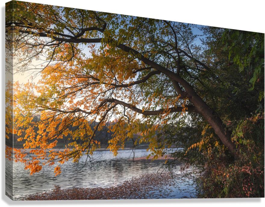 Here comes the autumn on the small lake Canvas Print