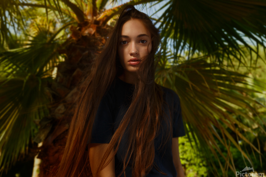 Photos to Canvas