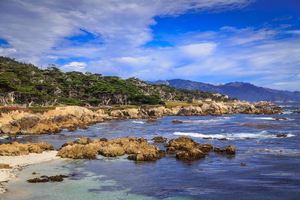 Carmel Coastline