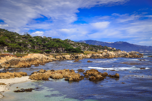 Carmel Coastline Print