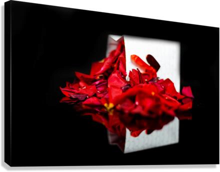 Rose Petals Canvas Print