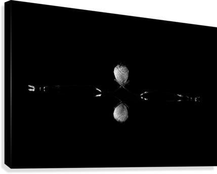 Strawberry Still Life  Canvas Print