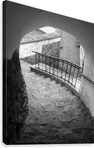 Stairs Canvas Print