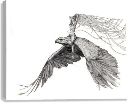 Fly Canvas Print