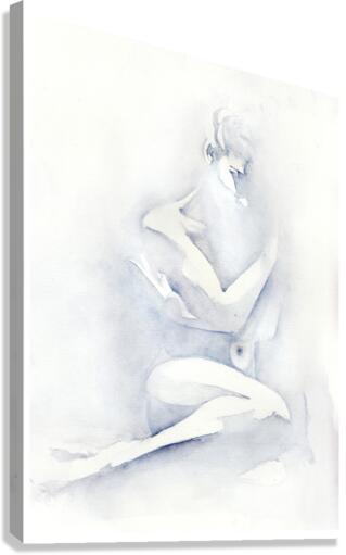 Fleeting Canvas Print