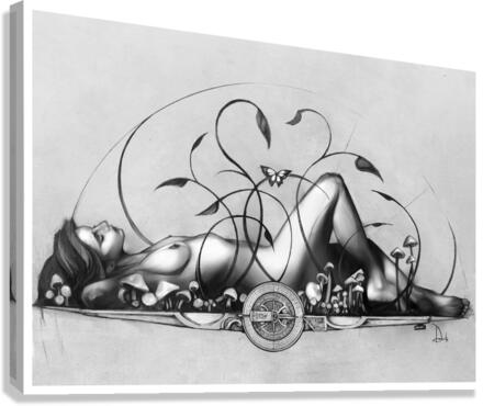 180 Degrees Canvas Print