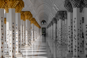 Grand Mosque Columns B&W
