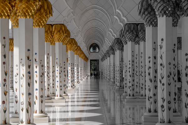 Grand Mosque Columns B&W by BZ